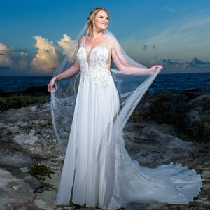 Cathedral length Ivory Veil